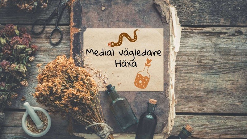 Vad gör en Medial vägledare?