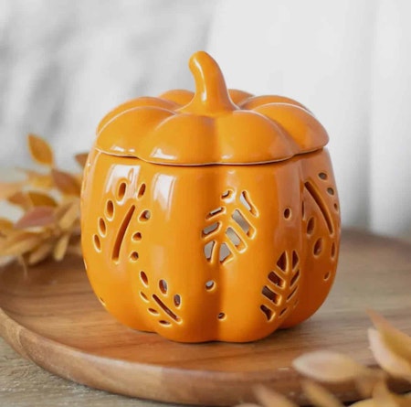 Oljebrännare pumpa