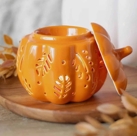 Oljebrännare pumpa