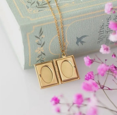 Halsband lover of books