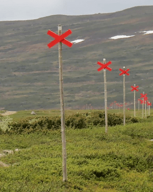 Ledkryss - Vägvisaren i fjällen