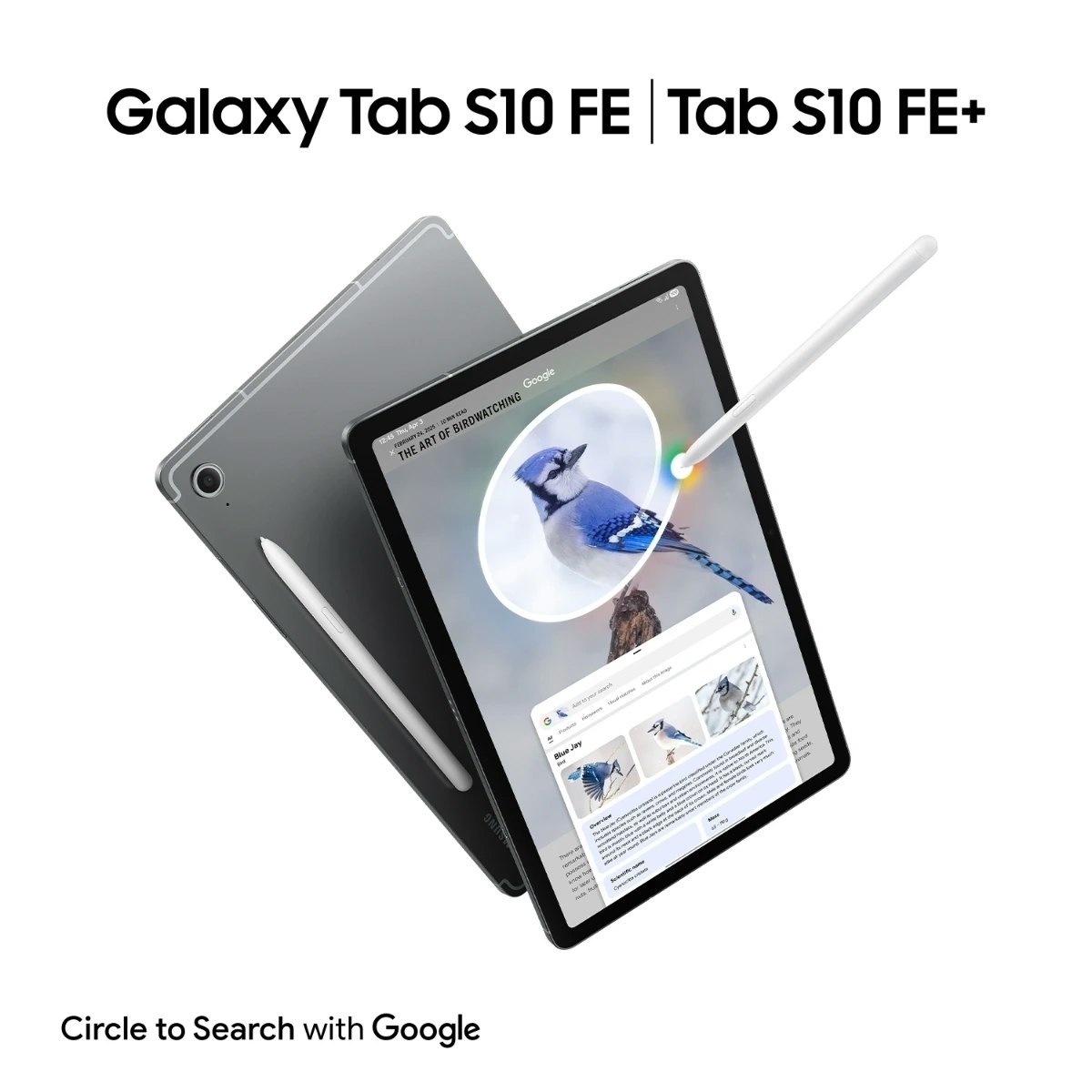 Samsung Galaxy Tab S10 FE Wi-Fi 256GB Grå