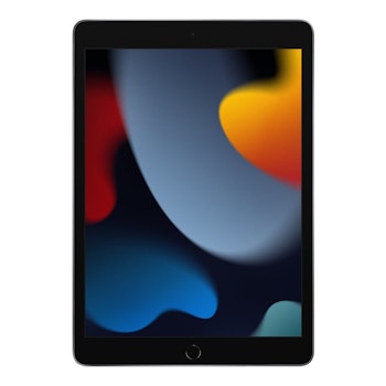 Apple 10.2-inch iPad Wi-Fi 10.2" 256GB Grå