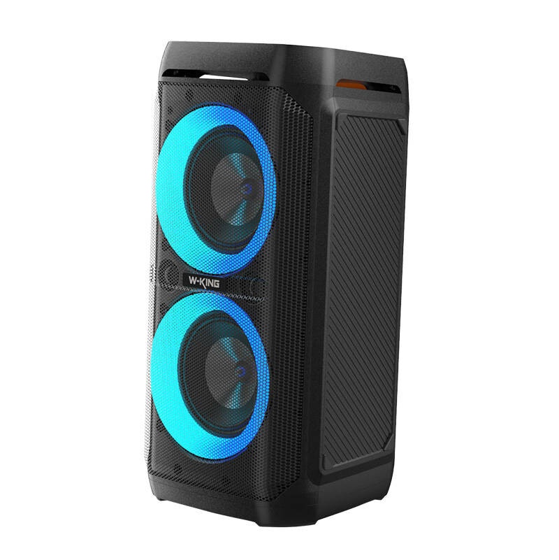 Wireless Bluetooth Speaker W-KING T11 100W (black)