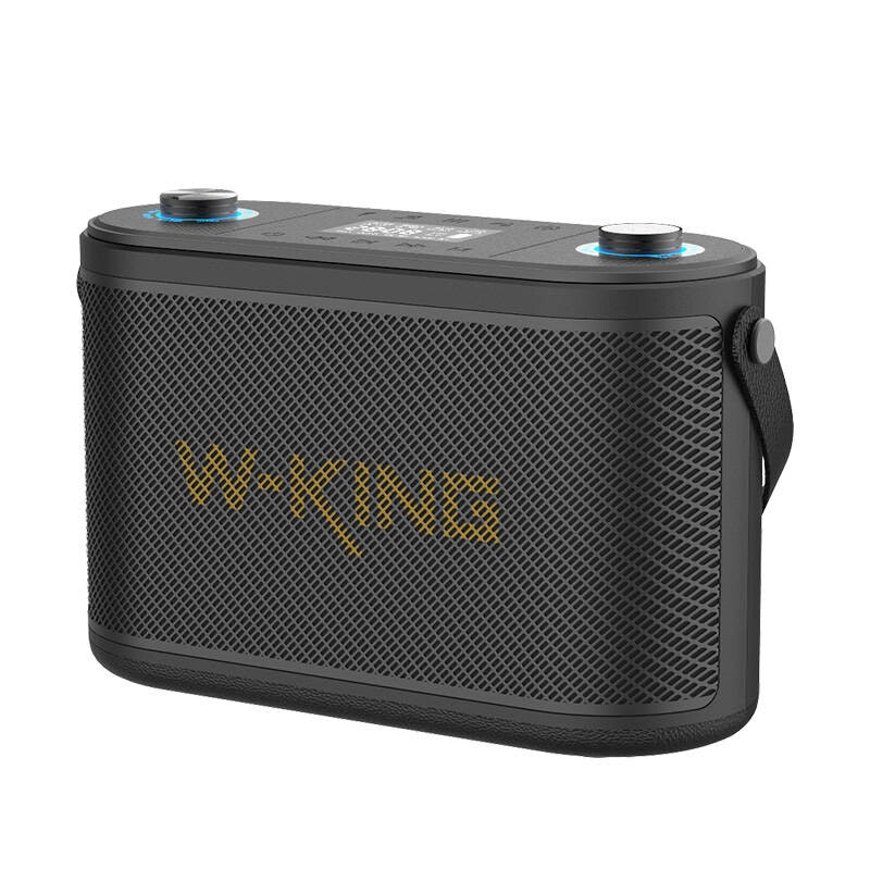 W-KING H10 120W Bluetooth-trådlös högtalare + 2 mikrofoner Svart