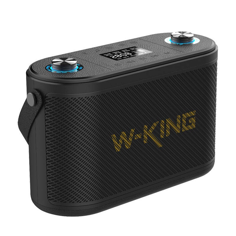 W-KING H10 120W Bluetooth-trådlös högtalare + 2 mikrofoner Svart