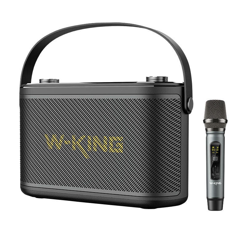 W-KING H10 S 80W Bluetooth trådlös högtalare + mikrofon Svart