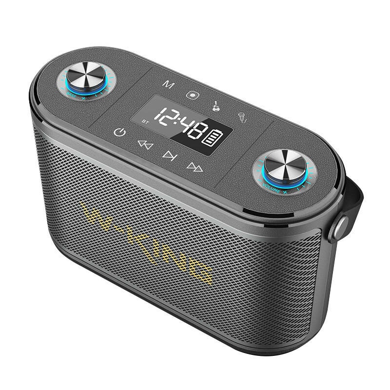 W-KING H10 S 80W Bluetooth trådlös högtalare + mikrofon Svart