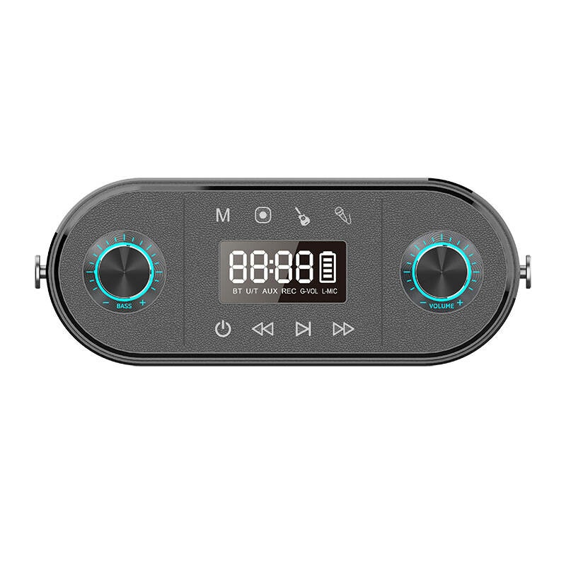 W-KING H10 S 80W Bluetooth trådlös högtalare + mikrofon Svart