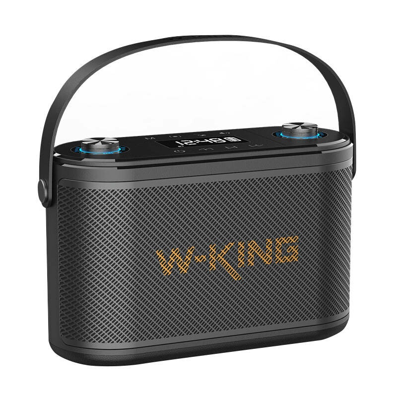 W-KING H10 S 80W Bluetooth trådlös högtalare + mikrofon Svart