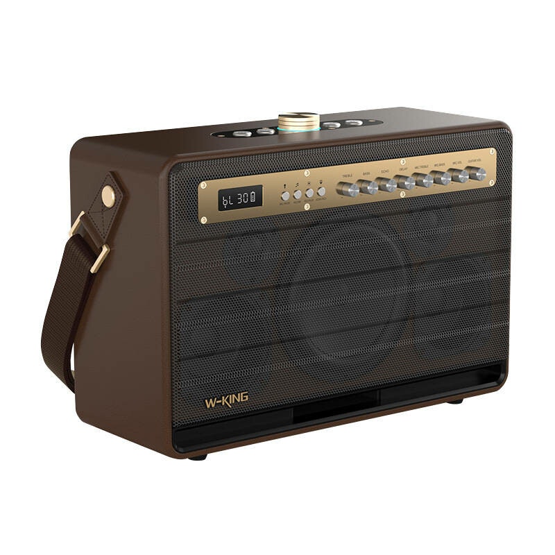 W-KING K6L 120W Trådlös högtalare + 2 mikrofoner Brun