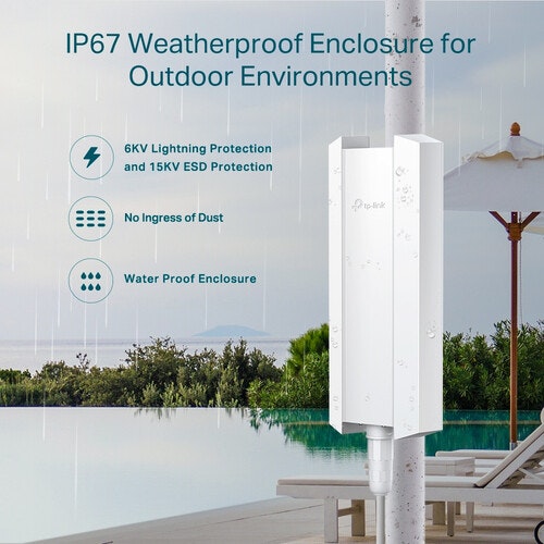 TP-Link Omada EAP650-Outdoor Trådlös åtkomstpunkt