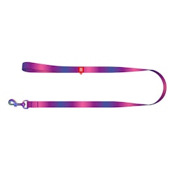 WAUDOG gradient nylon dog leash, 15mm wide, 122cm long, purple