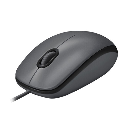 Logitech M100 mouse