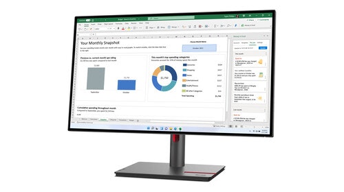 Lenovo ThinkVision P27h-30 27" QHD IPS LED display