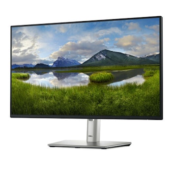 DELL P Series P2425H computer monitor