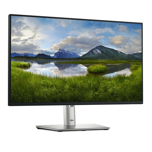 Dell P2425H 24" Full HD computer monitor