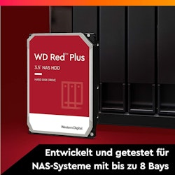 WD Red Plus WD60EFPX 256MB 6TB