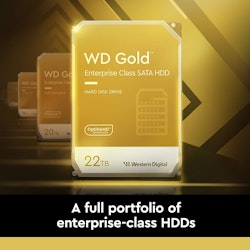 WD Gold Enterprise Class WD221KRYZ 512MB 22TB