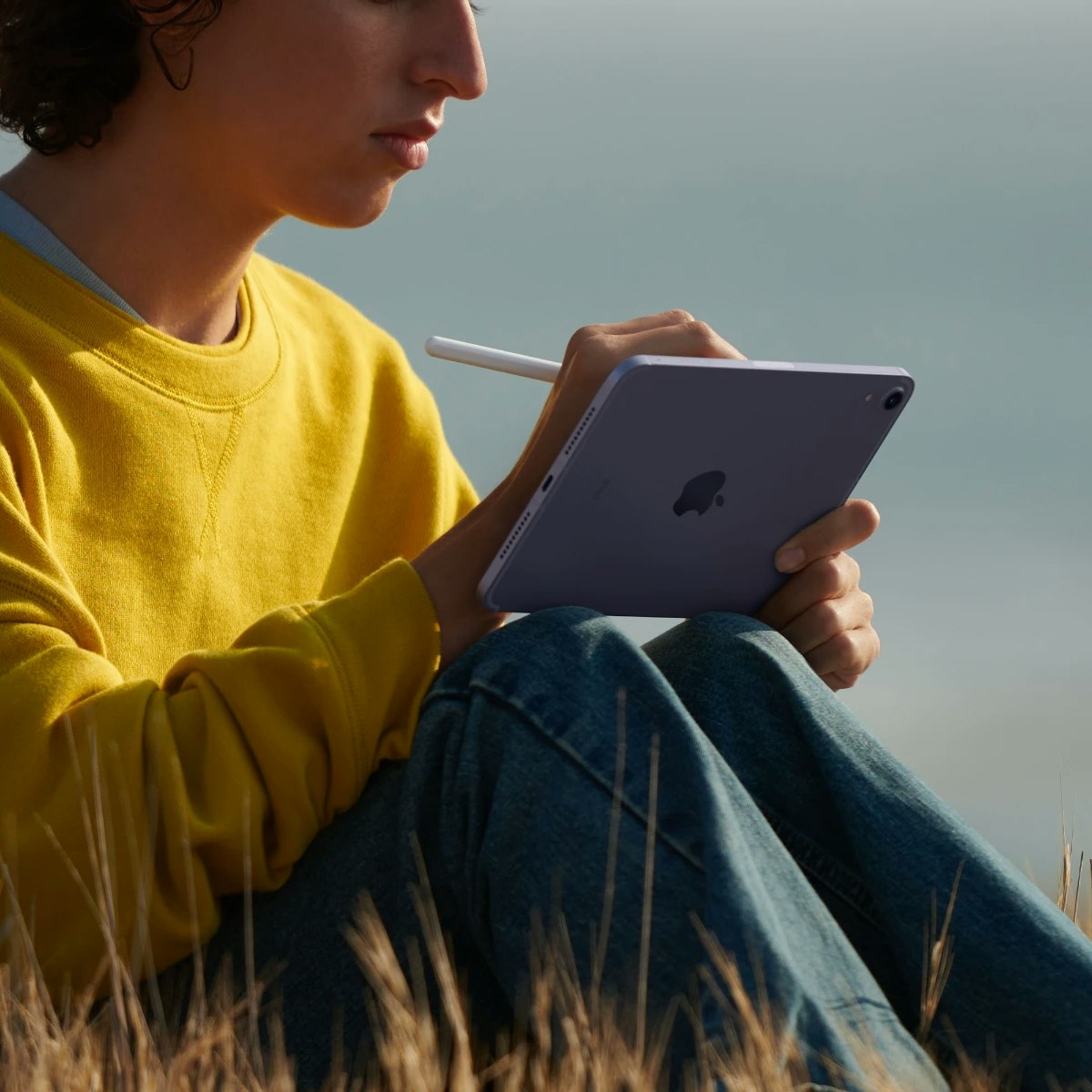 Apple iPad mini Wi-Fi Cellular 8.3" 64GB Rymdgrå