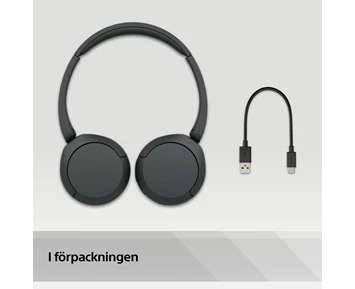 Sony WH-CH520 Black