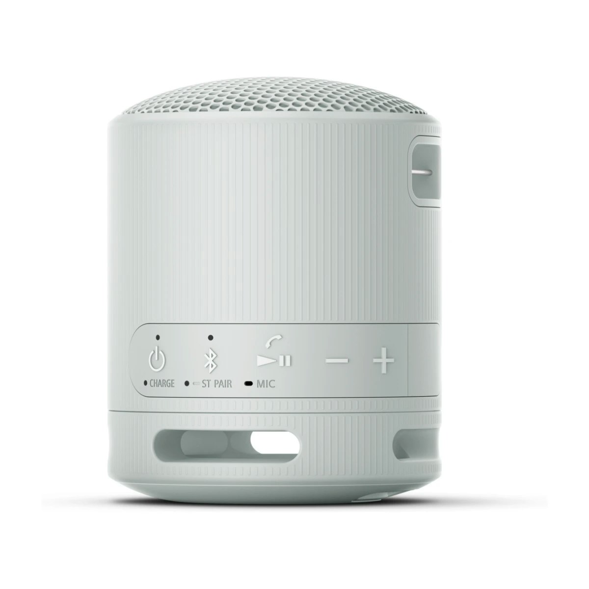 Sony SRS-XB100H Bluetooth-högtalare Ljusgrå