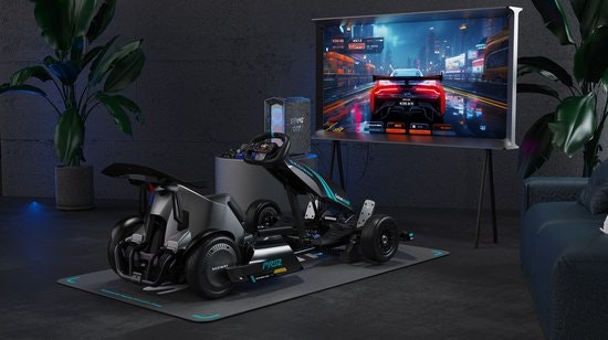 Segway Ninebot Pro 2 Elektrisk Gokart