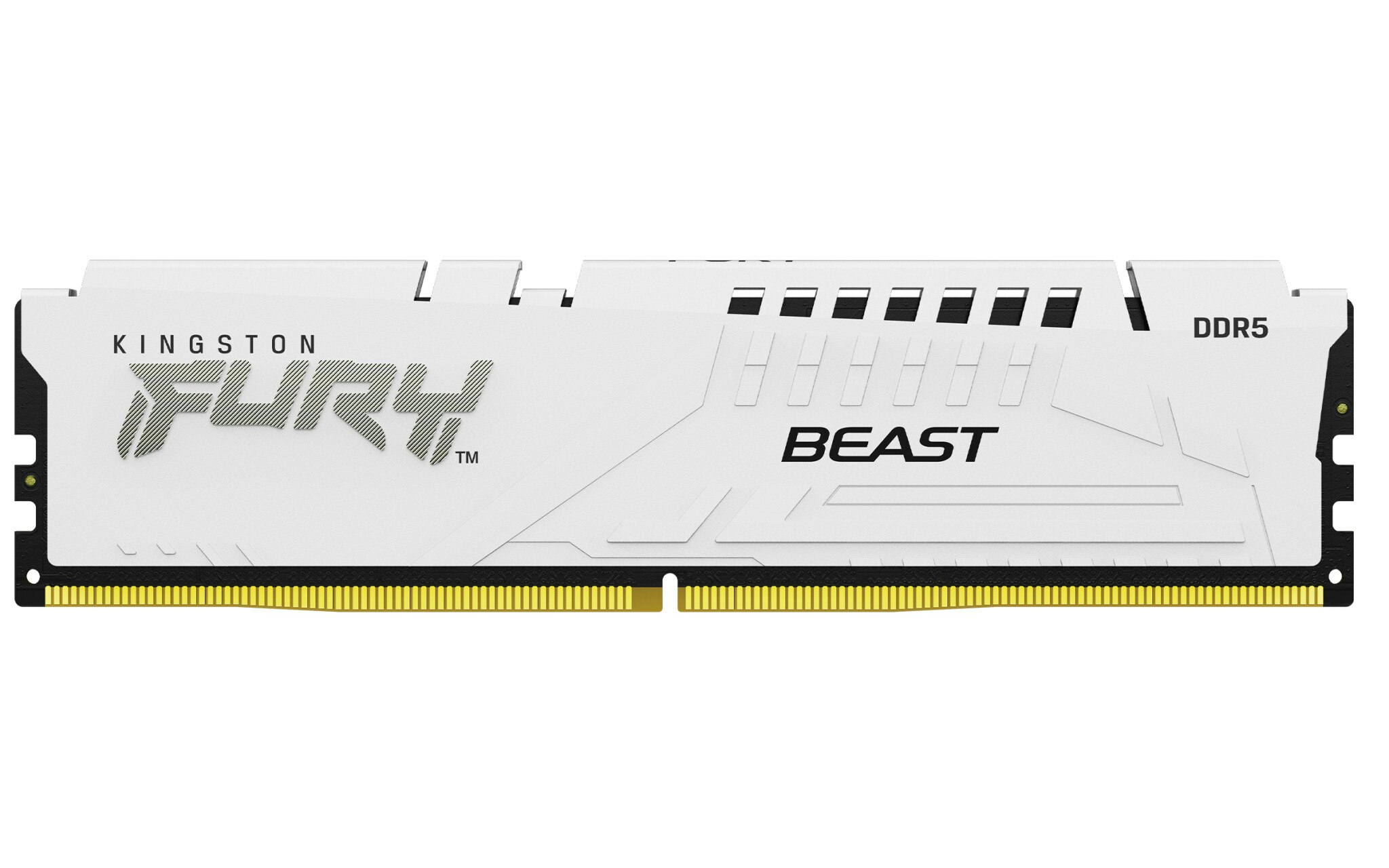 Kingston Technology FURY Beast 16GB 5200MT/s DDR5 CL36 DIMM White EXPO