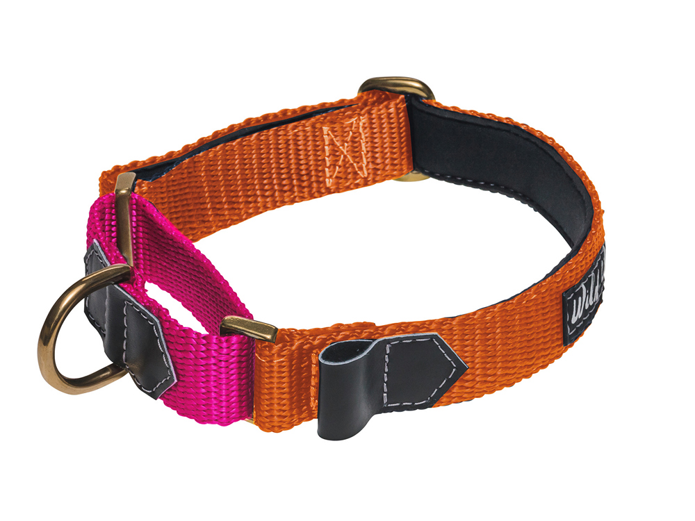 Wild Woof martingale 20mm | ordrevare