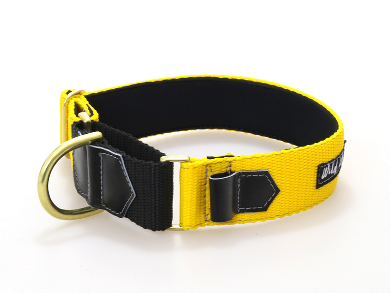 Wild Woof martingale 40mm | ordrevare