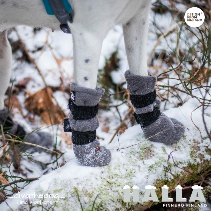 Diva have grey HALLA winter booties and size are S photo: Tiina Korhonen / _divathedog_