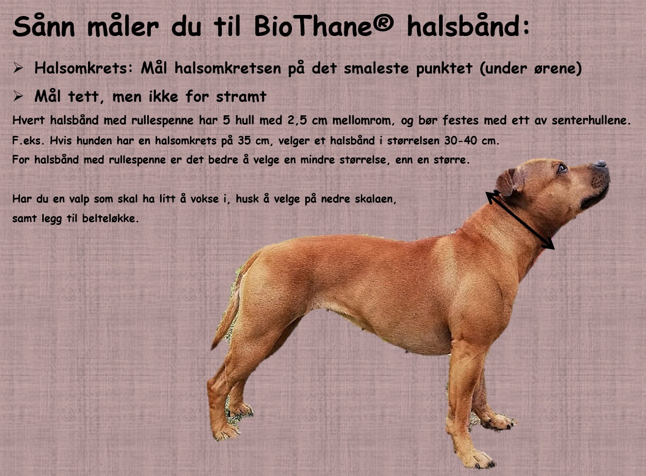 Biothane® halsbånd 25mm | Black | Str S (35-45cm)