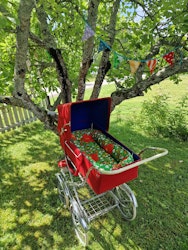 Babynest