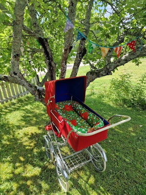 Babynest