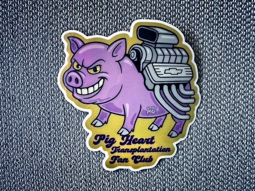 Pig Heart Transplantation Fan Club