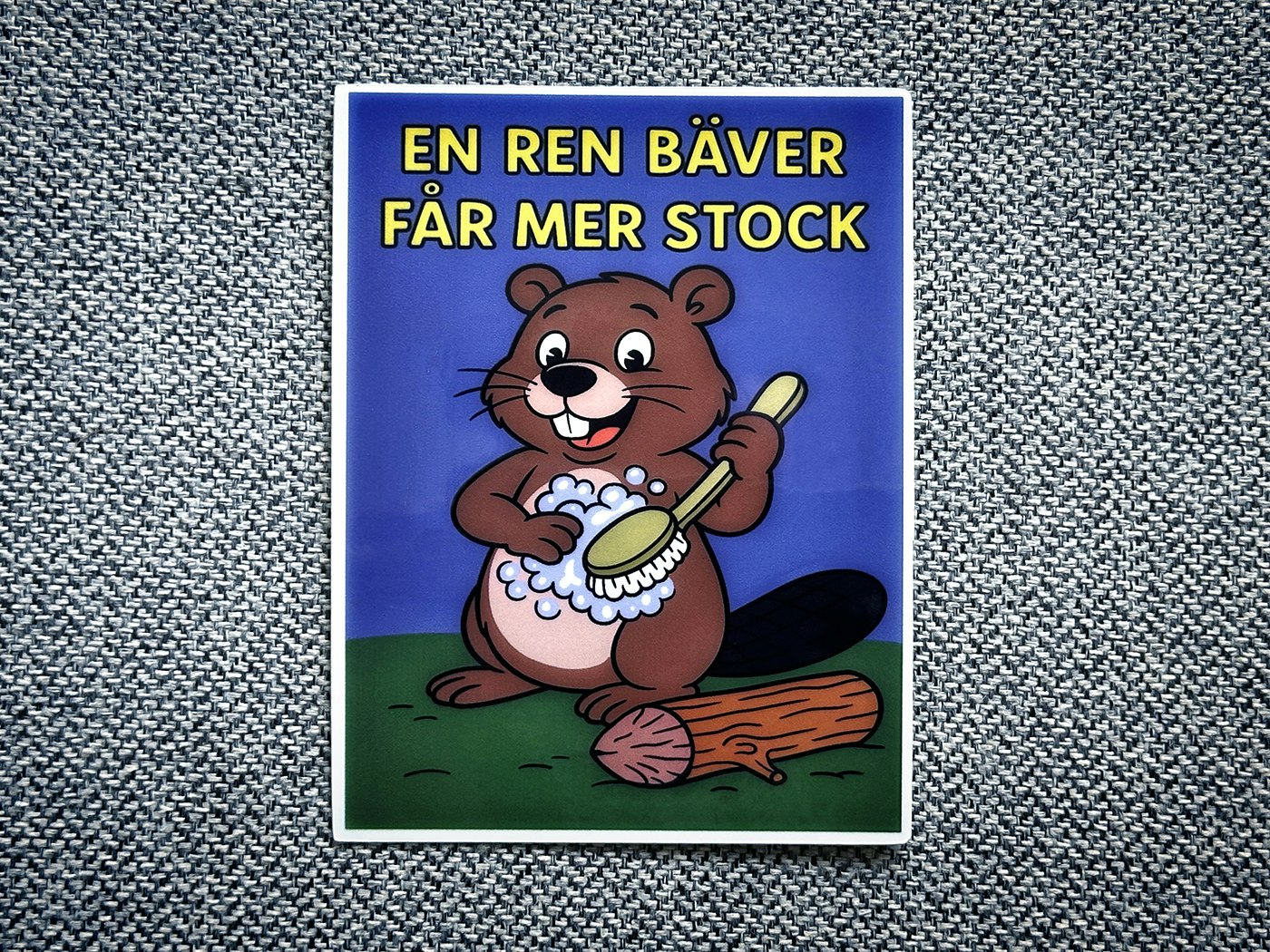 En ren bäver får mer stock