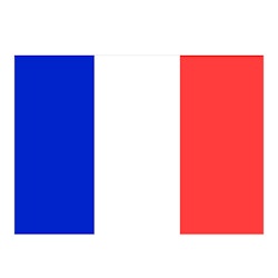 1852 Gästflagga Frankrike, 30x45cm