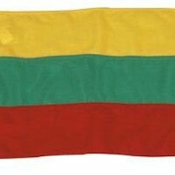 1852 Gästflagga Litauen, 20x30cm