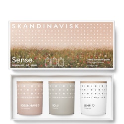 3 Candle Gift Set - Sense SKANDINAVISK