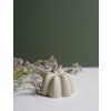 solid shampoo bar that is best for the environment and for travelling. Perfect for backpackers.