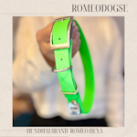 Halsband Romeo Hexa Ställbart 20,25mm
