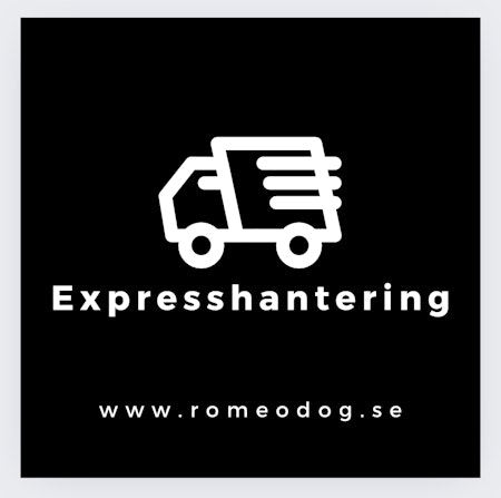 Expresshantering