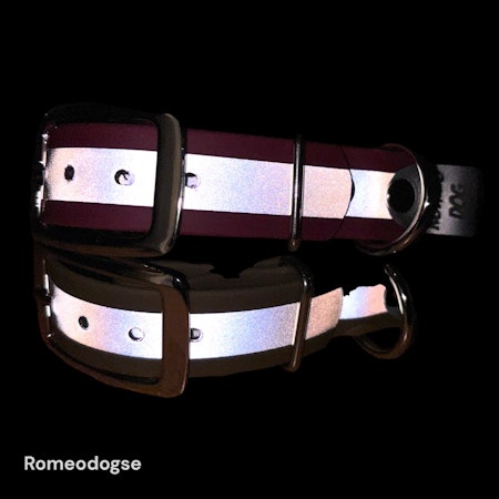 Reflexhalsband  Biothane Ställbart  19,25mm