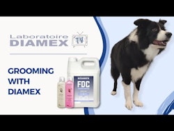 Diamex Balsam Conditioner
