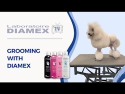 Diamex Volume boost shampoo