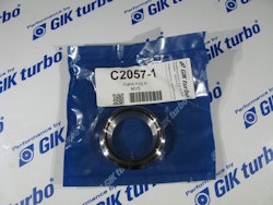 TiAL MVS Stainless V-Band Flange in