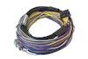 Elite 550 + Basic Universal Wire-in Harness Kit Length: 2.5m (8')