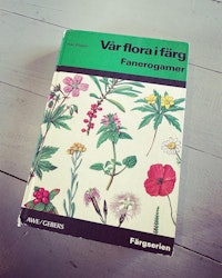 Florabok