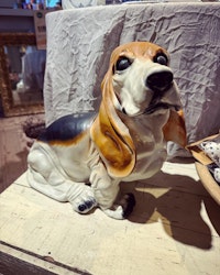 Hund (endast avhämtning/speciell frakt)