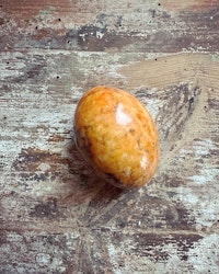 Stenägg orange